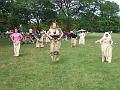 IMG_1834